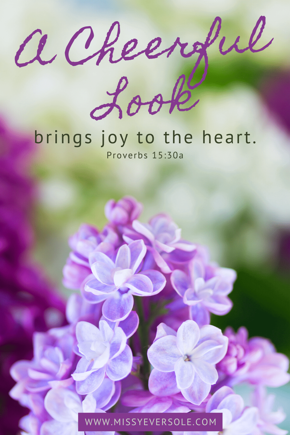 A Cheerful Look Brings Joy to the Heart - Missy Eversole